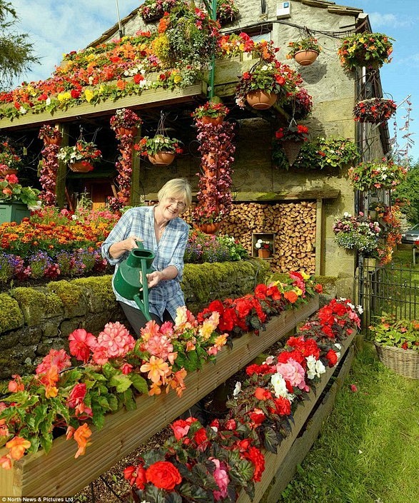 英国夫妇打造鲜花房屋 成为独特美景