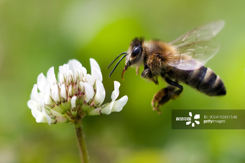 41fd554a1d298f27261bcec6bc38df3ecdc7b1f3148a2-xvx3fG