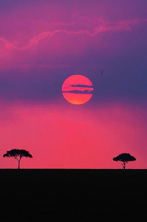 土地马赛（肯尼亚）| |奥布里斯托尔