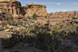 Red Canyon (454)