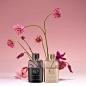 Against a pink blush background, a still life shows Gucci Guilty Elixir de Parfum Pour Femme and Gucci Guilty Elixir de Parfum Pour Homme in the centre of the frame with tall purple and pink flowers appearing to grow and bloom behind them.