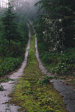 墨墨大娃娃采集到Road.▕ 世上的路千万条。