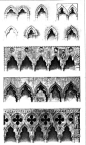 Gothic Capitals, by John Ruskin from Stones of Venise, 1853.: 