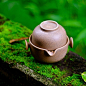 咖啡色稻草烧快客杯 一茶壶一茶杯茶具 类粗陶茶具套装 包邮的图片