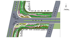 mG53RZXL采集到道路绿化