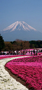 Fuji,Japan