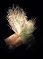 Mesolite on top of flourapophyllite and Stilbite probably from Pune India, the same location as the one in my collection.