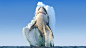 General 1920x1080 animals sea shark jumping fangs horizon clear sky render digital art