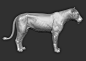 3D lion zbrush https://static.turbosquid.com/Preview/001226/673/0G/3D-lion-zbrush_D.jpg