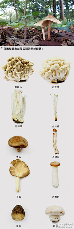 立口儿采集到家居