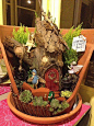 One of the winners of the 2012 Fairy Garden Contest - this one is a nice display piece, not many plants, but very cute - should be eye-level or almost   ************************************************