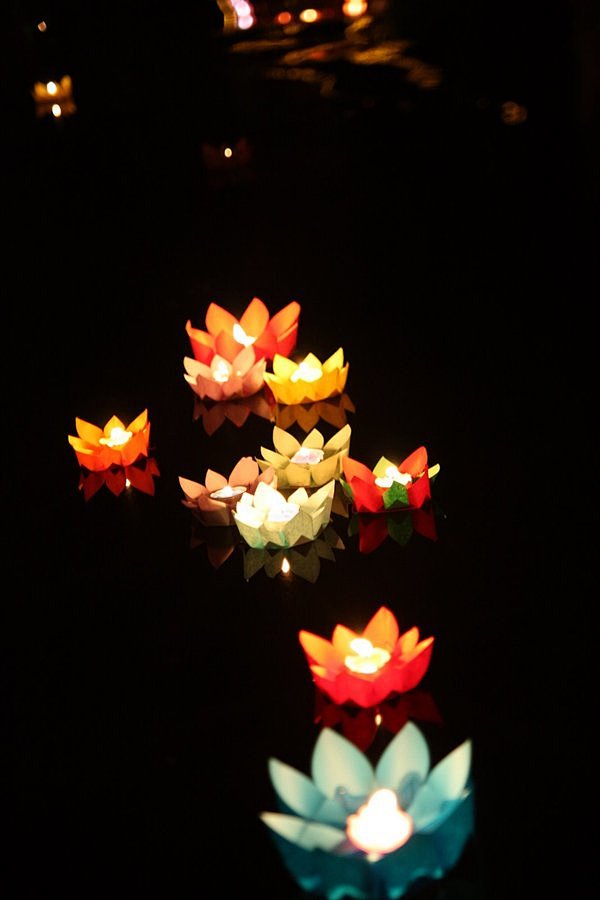 Chinese flower lante...