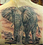 后背经典好看的大象纹身图案后背经典图案