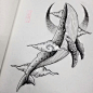 纹身图-鲸鱼