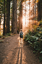 Woman, forest, path and trail HD photo by Kevin Wolf (@kevinwolf) on Unsplash : Download this photo in Mill Valley, United States by Kevin Wolf (@kevinwolf)