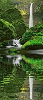 Breathtaking Elowah Falls, Oregon