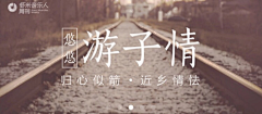 LittleGraceYu采集到虾米banner