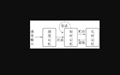 piikaa采集到UED