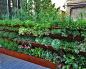 Vegetable Garden Home Design Ideas, Pictures, Remodel and Decor