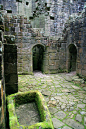 Hermitage Castle : Roxburghshire in the Scottish Borders, Scotland