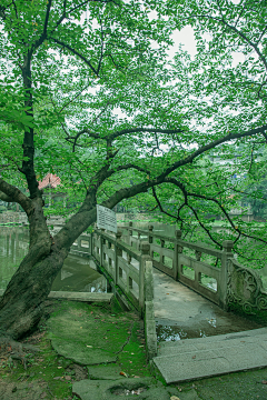 包包馒头采集到场景摄影 照片