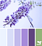 Design Seeds : Design Seeds color palettes ... posted daily for all who love color.