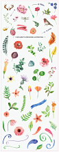 100+ Editable Watercolor Elements - Illustrations - 4