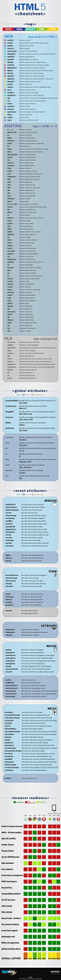 Social media infographics / HTML5 Cheatsheet Infographic