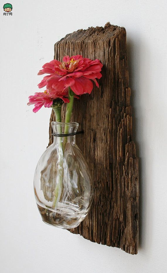 郁郁葱葱的花瓶和精美的海木头花盆花器系列...