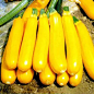 进口香蕉西葫芦种子 水果型能生吃 春季四季盆栽南瓜蔬菜种子包邮-淘宝网