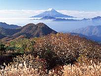 一溪绿水采集到美丽的富士山