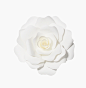 白色花 玫瑰花PNG透明素材 - 设计元素 - 七米设计 - WWW.7MSJ.COM