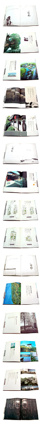 中国元素楼书设计