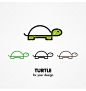 Turtle icon vector: 