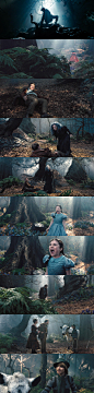 【魔法黑森林 Into the Woods (2014)】09
约翰尼·德普 Johnny Depp
梅丽尔·斯特里普 Meryl Streep
#电影场景# #电影海报# #电影截图# #电影剧照#