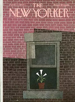 林深linsen采集到new yorker cover