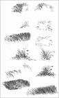 DRAWING GRASS and WEEDS tutorial by Diane Wright