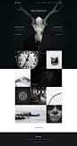 Polar - Responsive Multi-Purpose PSD Template