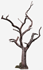 褐色简约枯树装饰图案png免抠素材_新图网 https://ixintu.com 褐色 简约 枯树 装饰图案 免抠PNG