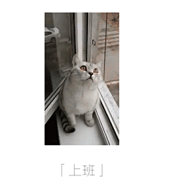 狐狸先生啊~采集到GIF