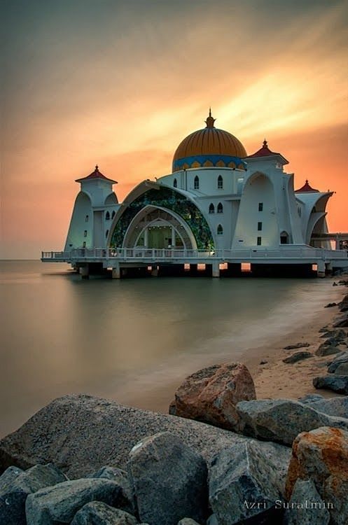 Malacca Straits Mosq...