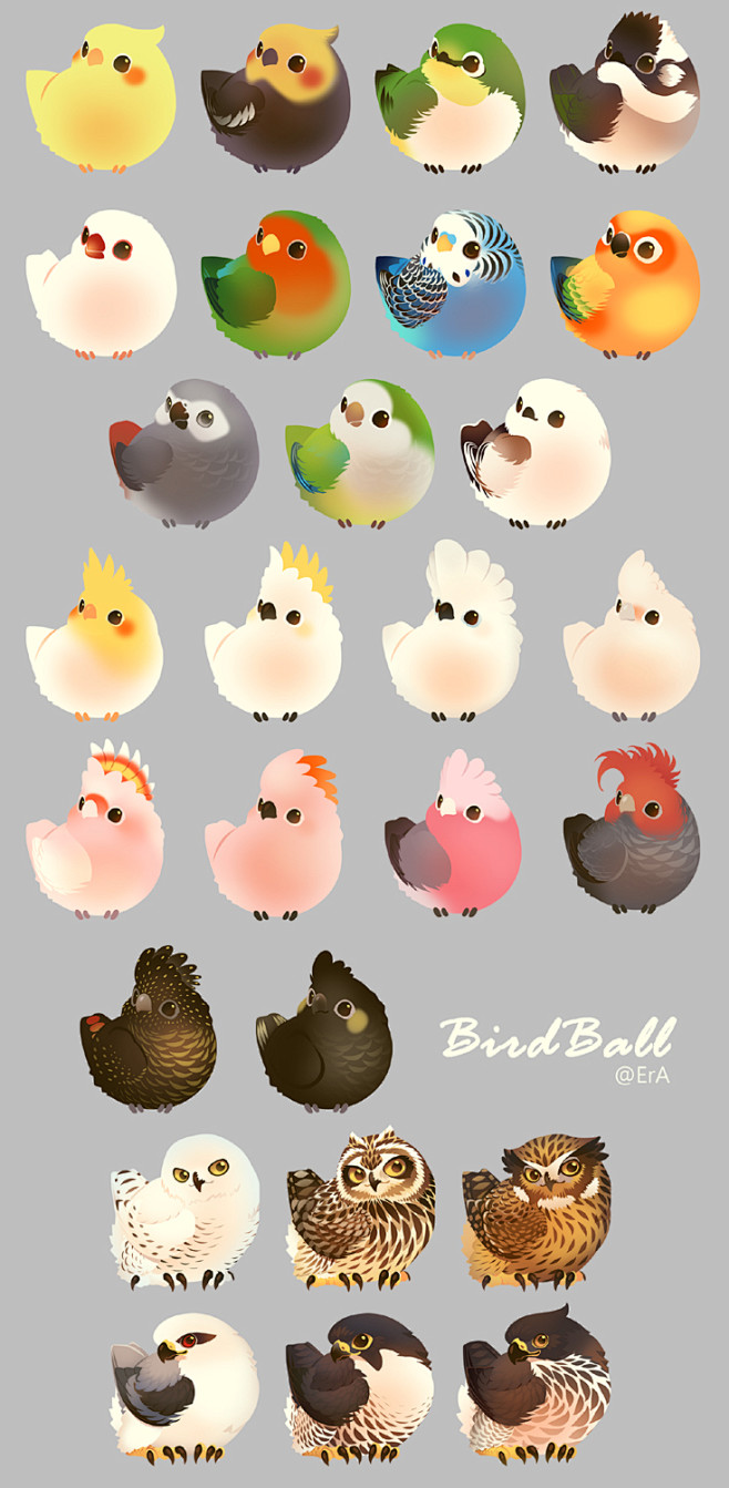 BirdBall