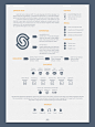 CV | SARWAR HATIF : infographic, element, graph, chart, vector, business, bar, data, design, report, graphic, info, modern, set, rate, rating, text, background, layout, pie, growth, web, document, collection, concept, banner, information, infochart, abstr