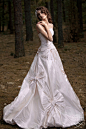 Papilio 2011 Wedding Dresses（婚纱摄影主题“森林之梦”）