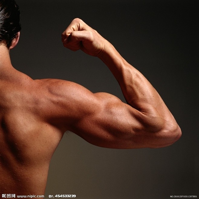 百度图片搜索_手臂肌肉图的搜索结果