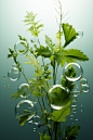 geomyidae_Suspended_bubbles_and_plants_transparent_background_N_651e5b2f-572e-438d-8e5a-2e898f69366f
