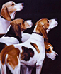 artofdogs:Four Fox Hounds by Janet Crawford