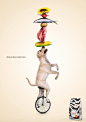 自然平衡——Safari宠物粮食海报宣传-欣赏-创意在线