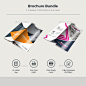 Trifold Brochure Bundle