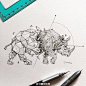 菲律宾插画师Kerby Rosanes笔下的几何图形动物
